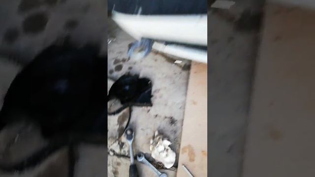 Меняю сальник промвала