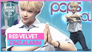 [Pops in Seoul] Felix's Dance How To! Red Velvet(레드벨벳)'s Zimzalabim(짐살라빔)