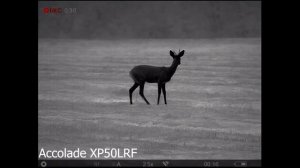 Сравнение Accolade 2 XP50 lrf и Accolade XP50 lrf первого поколени | Снаряжение для охоты