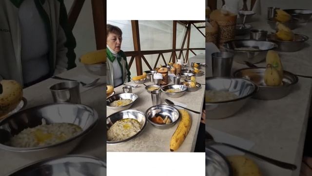 Вегетарианская кухня в йога-турах? Что там есть? #аюрведа #йога #алтай #вегетарианцы #вегетарианств