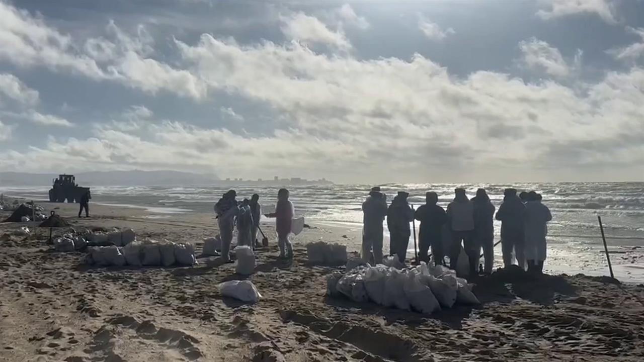 На Черноморском побережье продолжается экологическая операция после крушения танкеров и разлива м...