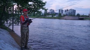 Народный Резидент. Стритфишинговая инагурация