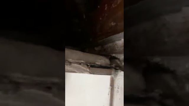 Важность использования гидроизоляции. Последствия отсутствия гидроизоляционных работ в санузле.