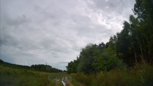 Дневной проезд, август Занинка 2024