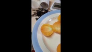 Обзор и дегустациятоматов ГЕРМАНИЯ 646, МИСТЕР ПАЛЬЧИК ШОКОЛАДНЫЙ, гном ДИКИЙ КАРТОФЕЛЬНЫЙ ЛИСТ...