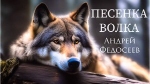 ПЕСЕНКА ВОЛКА детская Андрей Федосеев