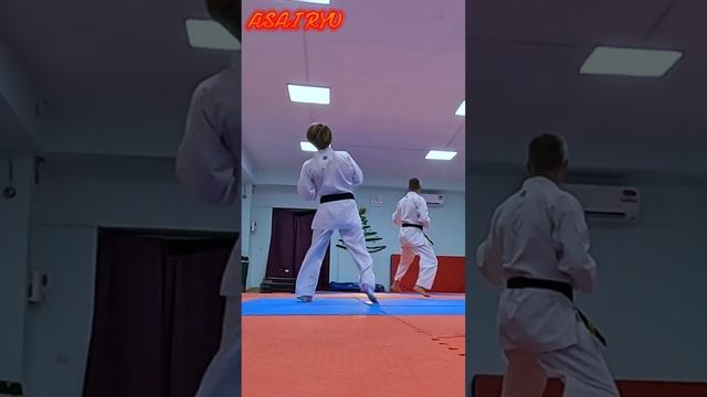 Asai Ryu karatedo. Каратэ - это жизнь! #asairyu #karate #каратэ