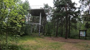 Ладожские берега/Экологический маршрут/Змеи на маршруте!/14 июль 2024/#тудым-сюдым/