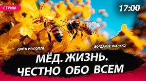 Мёд. Жизнь. Честно обо всем [Богдан Безпалько. СТРИМ]