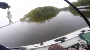 Рыбалка на щуку осенью с сыном