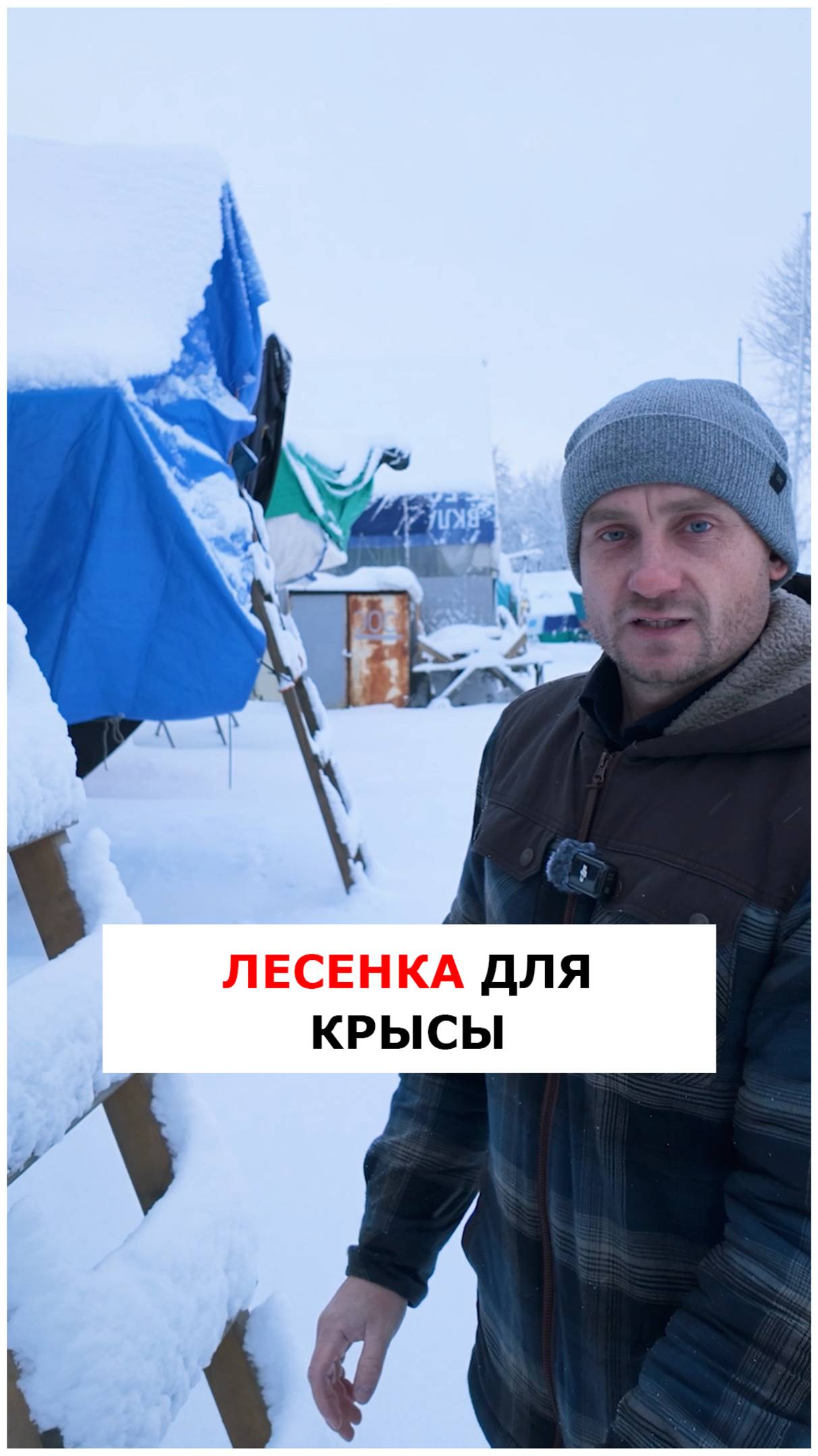 Лесенка для крысы  #яхтинг  #обучениеяхтингу  #видеоурокияхтинг