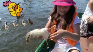 Поймала утенка!