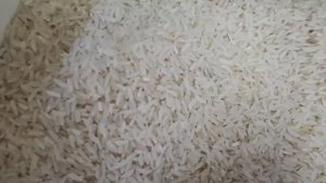 ГОТОВИМСЯ К ЗИМЕ ЗАМОРОЗИЛА УКРОП МАЛОСОЛЬНЫЕ ОГУРЧИКИ Шиндр Мындр @ShindrMindr_Official