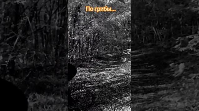 Юмор ролик смотрите на канале. #приколы #юмор
