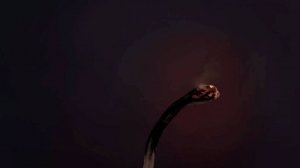 Почему нам нужен спаситель? / Why We Need a Savior?