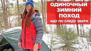 ЗИМНИЙ ПОХОД В ЛЕС