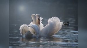 "Зови меня надеждою "- поэт Нина Игнатова