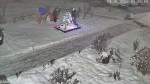 Вандалы сломали новогоднюю ёлку. 04.01.2025