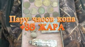 Пару часов копа в лесу +35