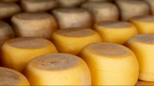 Я ДЕЛАЮ СЫЫЫР Cheese Factory 1 часть