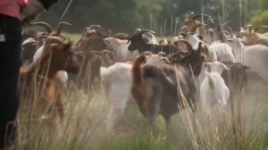 Роберт Дауни-младший рассказал, почему он покинул КВМ именно сейчас