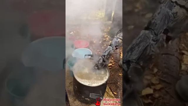 Готовим уху с водкой и поленом