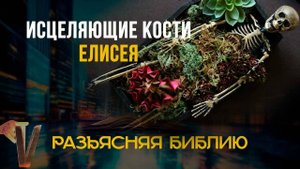 Кости Елисея воскресили умершего - доказывает ли это истинность поклонения мощам