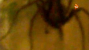 Взлом канала РЕН ТВ