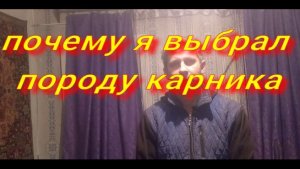 ответ на коментарий почему я выбрал породу карника ?