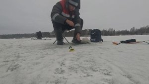 Январь 2025г Зимняя рыбалка