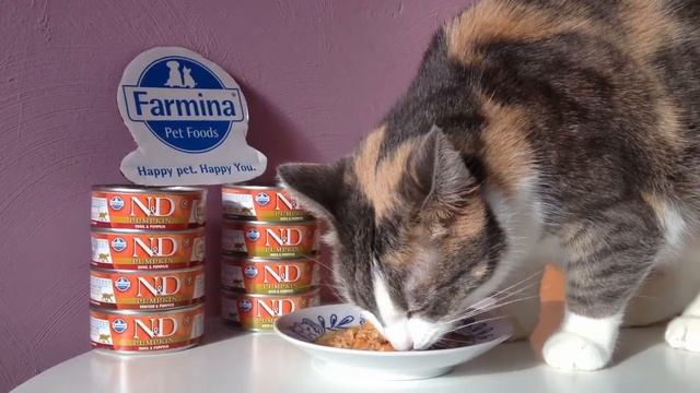 Karma N&D QUAIL & PUMPKIN Farmina - Sfinksy 2018/ Isia i Masza смотреть онлайн