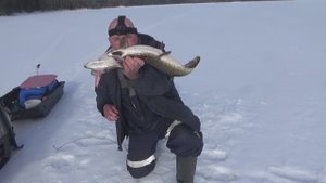 Зимняя рыбалка на щуку.Закрытие сезона