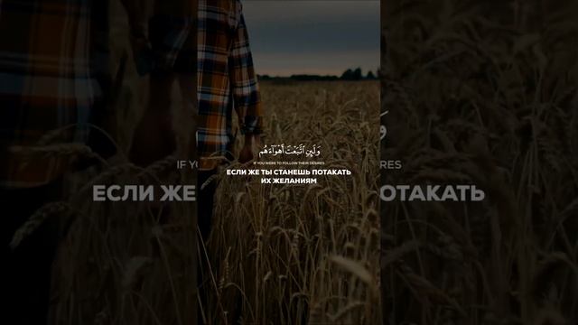 путь Аллаха #путь #Аллах #ислам #path #Allah #islam #shorts #short #GaraevDamir #ГараевДамир