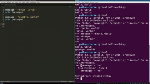 Python 3 Programming Course_ 6 - Variables