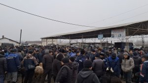 Жалакудук хайвон бозори