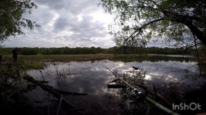 За карасём сквозь дебри. Рыбалка с берега на поплавок