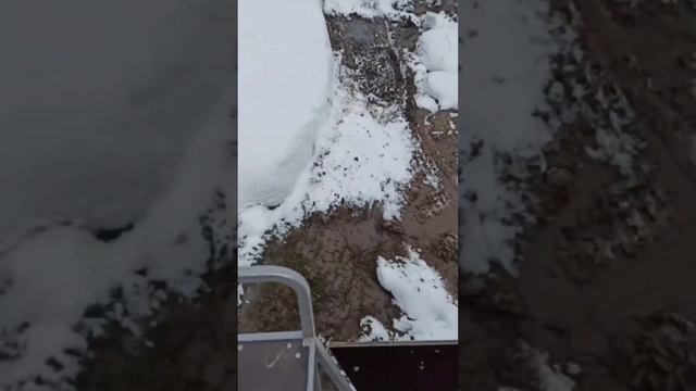 По рыхлому снегу до 90 см с тростником на вездеходе переломке. Начало февраля. Часть 2 смотреть онлайн