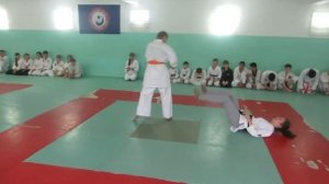 Муекван Дэхан Хапкидо