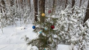 Мечта на елочке или  шабаш на зимней горе.