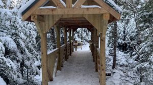 Канада, лесной парк в снегу