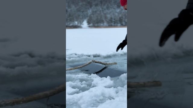 Зимнее купание❄️