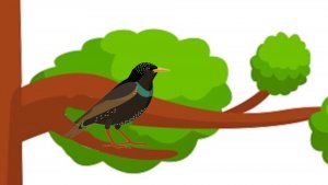 Дети и птичка. Алексей Плещеев #учитьстихилегко