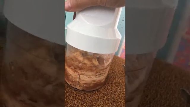 БАНАНОВЫЙ ДЕСЕРТ ЗА ДВЕ МИНУТУ БЕЗ САХАРА.#shorts смотреть онлайн