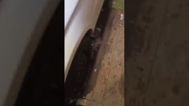 Лада Веста NG . Ржа под капотом смотреть онлайн