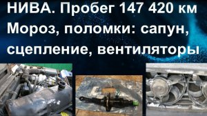 Нива зимой. Замерз сапун, поломка сцепления, примерзли вентиляторы. Отзыв на пробеге 147 420 км.