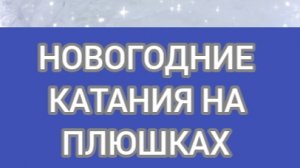 НОВОГОДНЕЕ КАТАНИЕ НА ПЛЮШКАХ