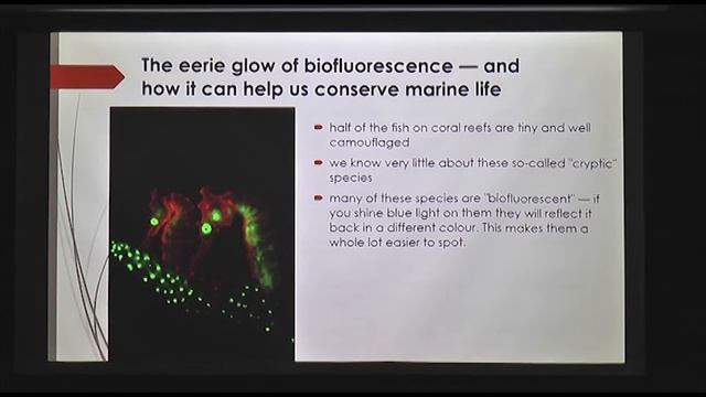 NPA Friday Environment Forum: 23 FEB 2018 смотреть онлайн