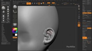 013 Zbrush 2020 History Recall Brush Vs ZProject Brush