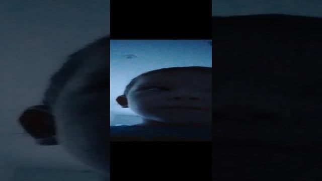 1000004673.mp4