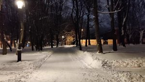 Прогулка по зимнему ночному парку Выборга